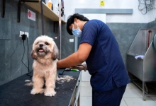 Clinic interior - desktop view