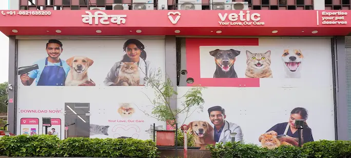 Vetic Clinic Desktop