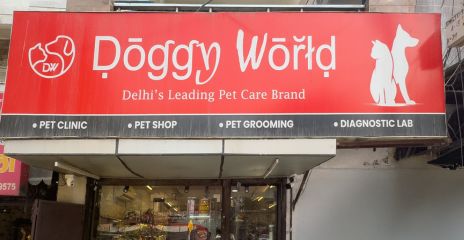 Doggy World, Derawal
