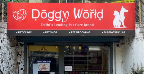 Doggy World, Paschim Vihar