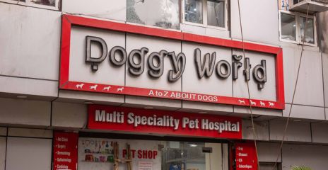 Doggy World, Rohini Sec-8 