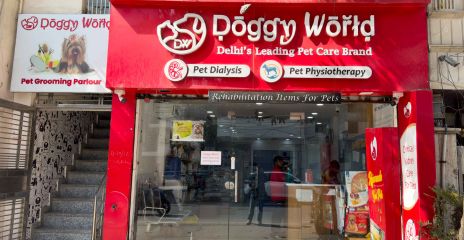 Doggy World Grooming, Rohini Sec-8
