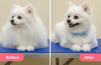 Complete Bath & Hair Styling