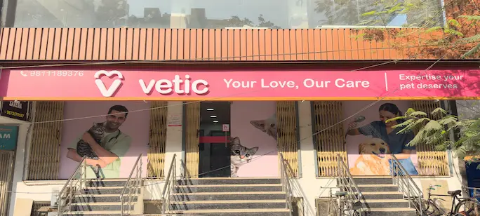 Vetic Clinic Desktop