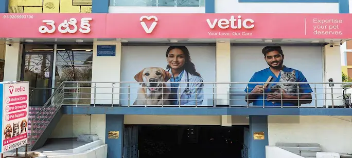 Vetic Clinic Desktop