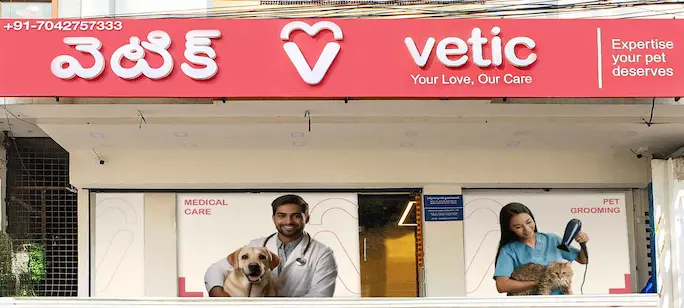 Vetic Clinic Desktop