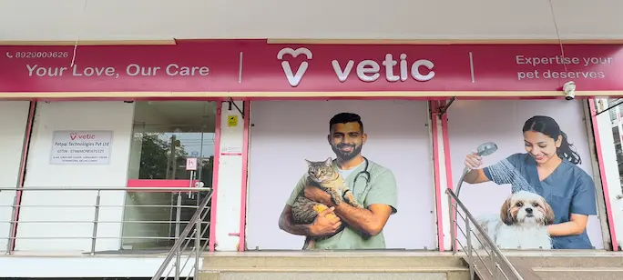 Vetic Clinic Desktop