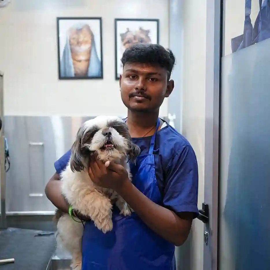 Photo of Saurabh