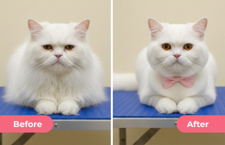 Complete Bath & Hair Styling