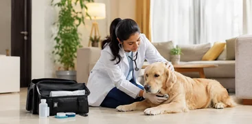 Vetic Pet Care