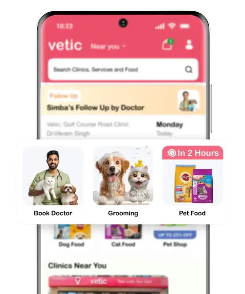 Vetic App on Phone Mobile View