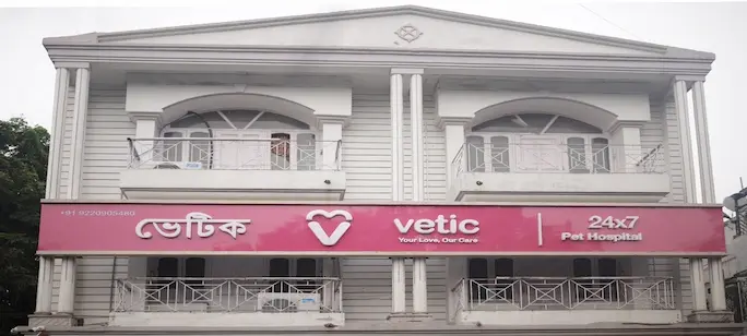 Vetic Clinic Desktop