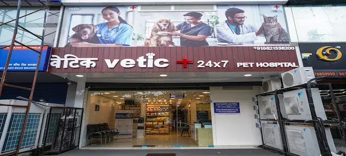 Vetic Clinic Desktop