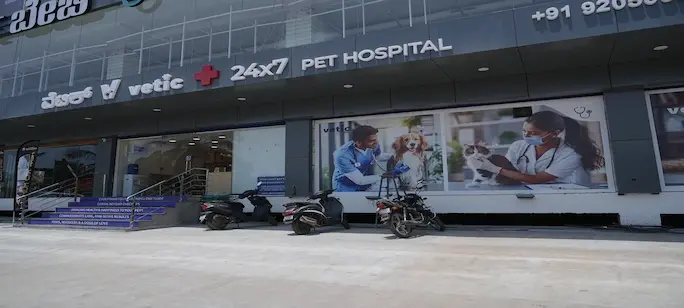 Vetic Clinic Desktop