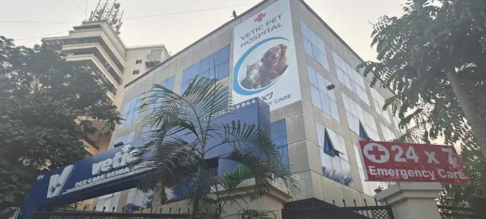 Vetic Clinic Desktop