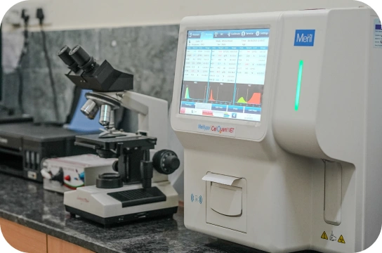 In-clinic blood tests, x-ray & USG
