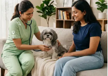 Pet_clinic