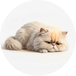 Pet Concern
