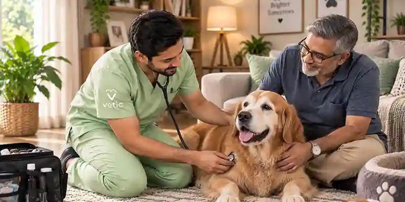 Vetic Pet Care Mobile View