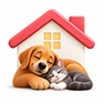 Stress-free care at home