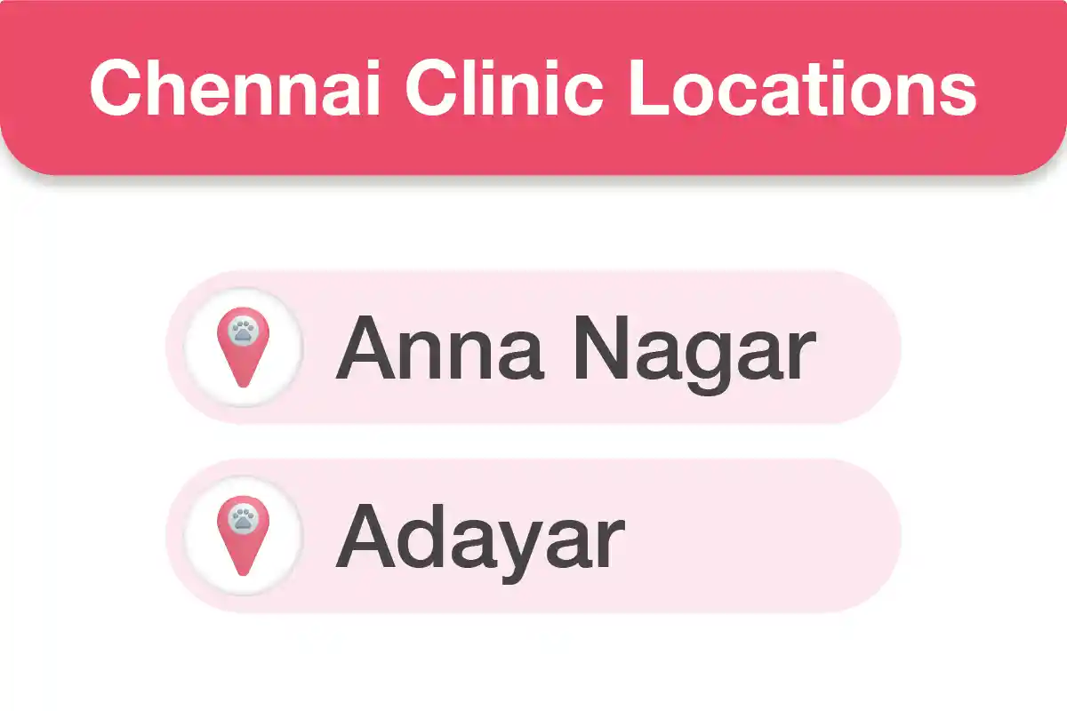 Chennai Clinic Near You