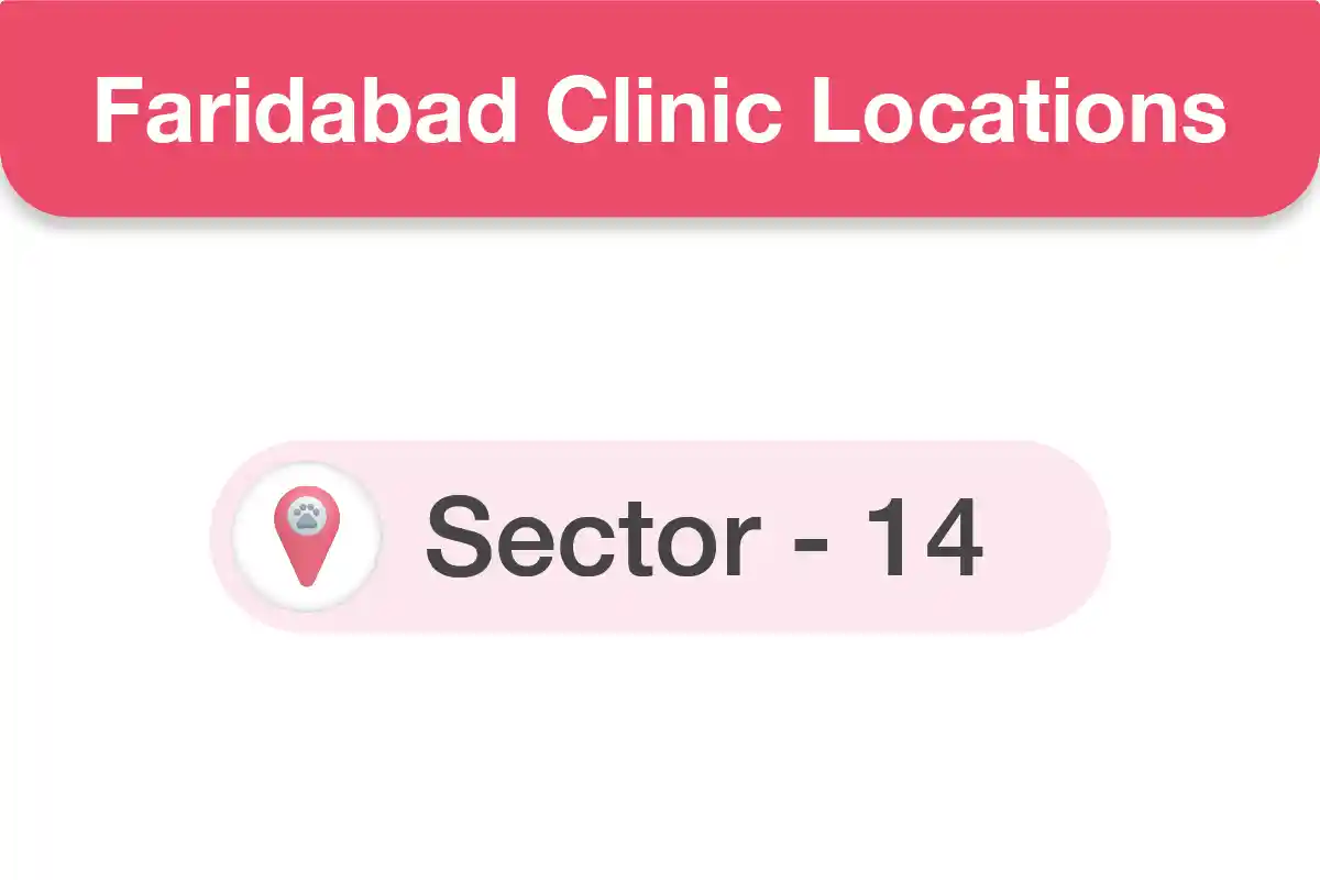 Faridabad Clinics Near You