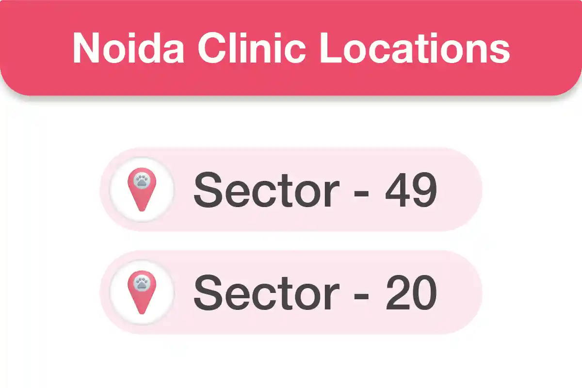 Noida Clinics Near You