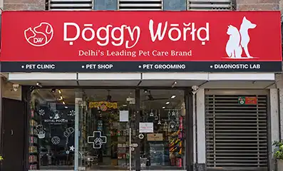 Doggy World Derawal Nagar clinic facade