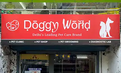 Doggy World Paschim Vihar clinic facade