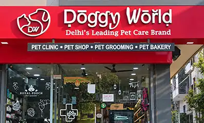 Doggy World Rohini Sector 24 clinic facade