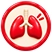 Coughing or breathlessness - sign your pet may need an ultrasound
