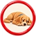 Low energy - sign your pet may need an ultrasound
