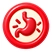 Tummy trouble - sign your pet may need an ultrasound
