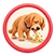 Repeated vomiting - sign your pet may need an ultrasound