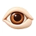 Eye conditions - what ultrasound can diagnose
